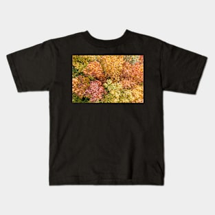 Aerial top down landscape of beautiful colorful autumn forest Kids T-Shirt